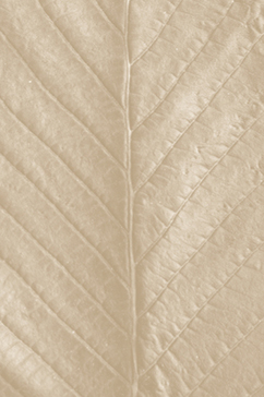 leaf texture
